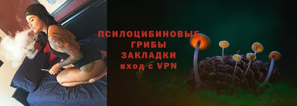 стафф Верея