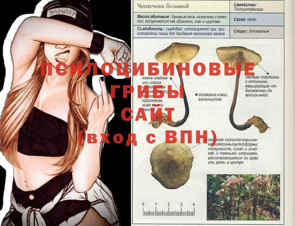 МДПВ Верхнеуральск